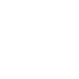 playIcon